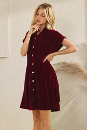 Velvet Pleat Dress