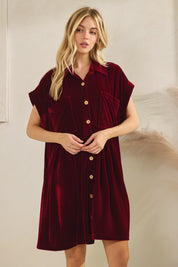 Velvet Pleat Dress