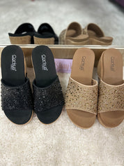 Corky's Sunlight Wedge