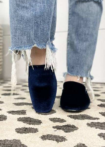 Corky's Spotlight Mule