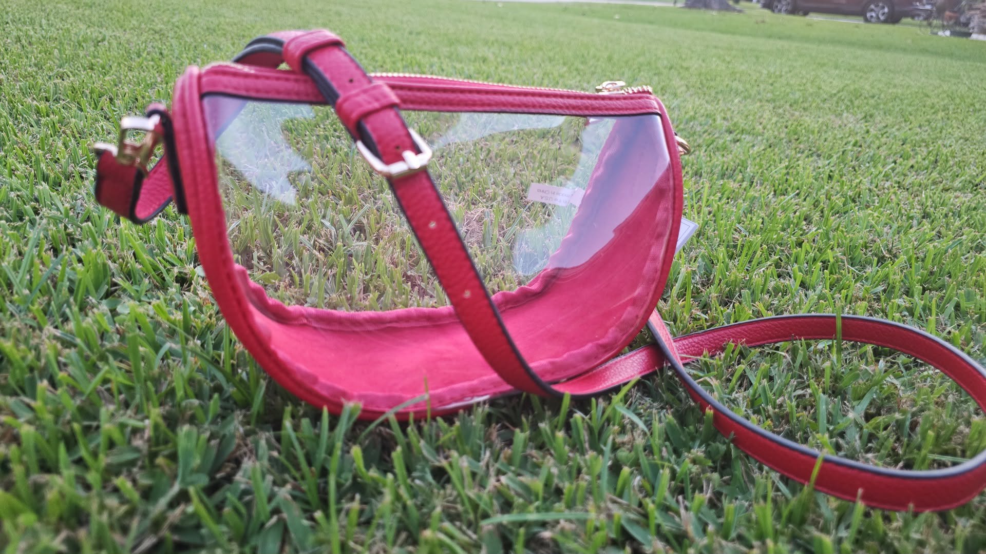 Peyton Clear Crossbody Bag