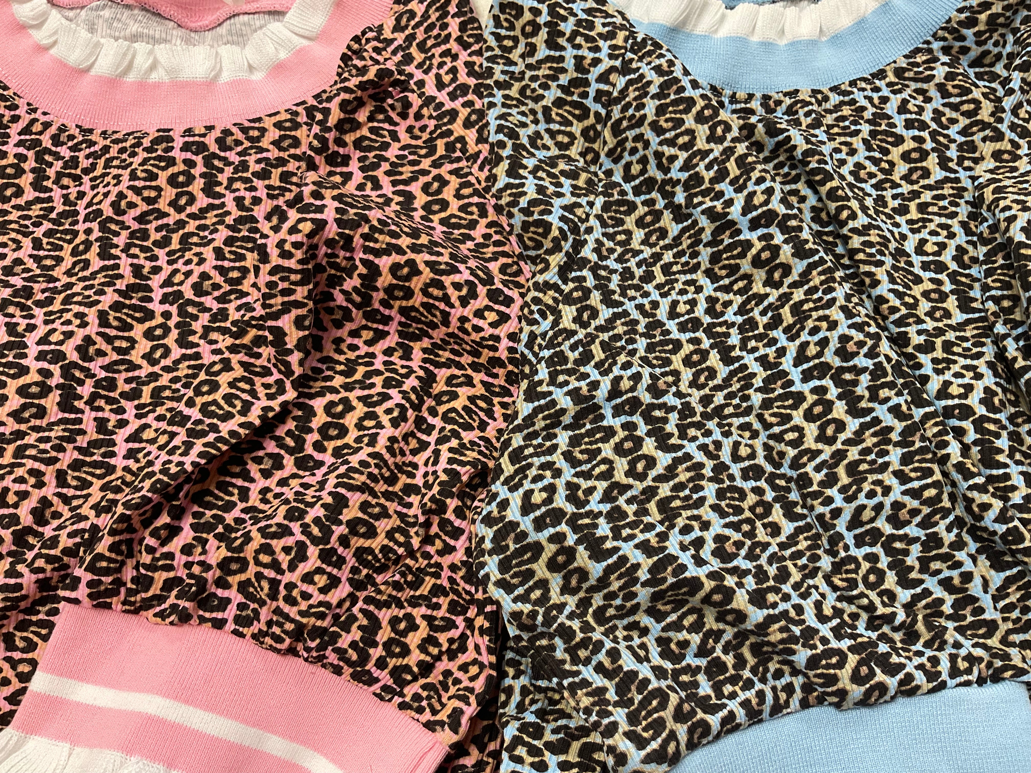 Sienna Ribbed Leopard Print Knit Top