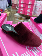 Corky's Spotlight Mule